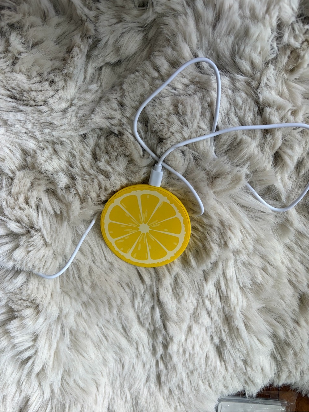 Yellow Lemon Slice USB Charger